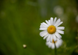 Tamron-35-150-First-2