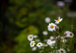 Tamron-35-150-First-3
