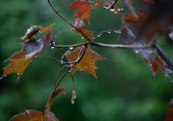 Tamron-35-150-First-4