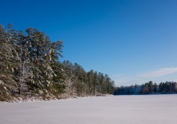 03-Landscape