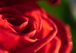 13-APS-Macro-2
