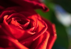 13-APS-Macro