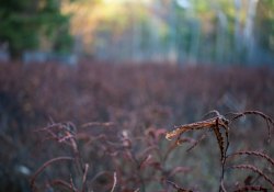 14-Macro-Samples-2