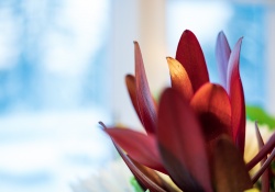 14-Macro-Samples-6