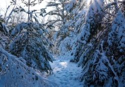 24-Landscapes-5