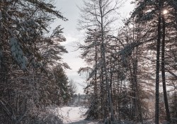 24-Landscapes-8