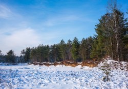 24-Landscapes-9