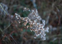 First-35mm-Samples-7