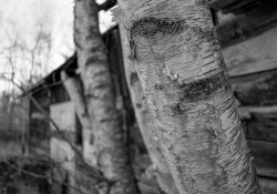 First-35mm-Samples-9