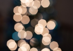 Tamron-35mm-Bokeh-3
