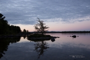 Landscape Samples-3