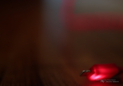 01 IOS Charger