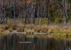 Sharpness Crop 2-2