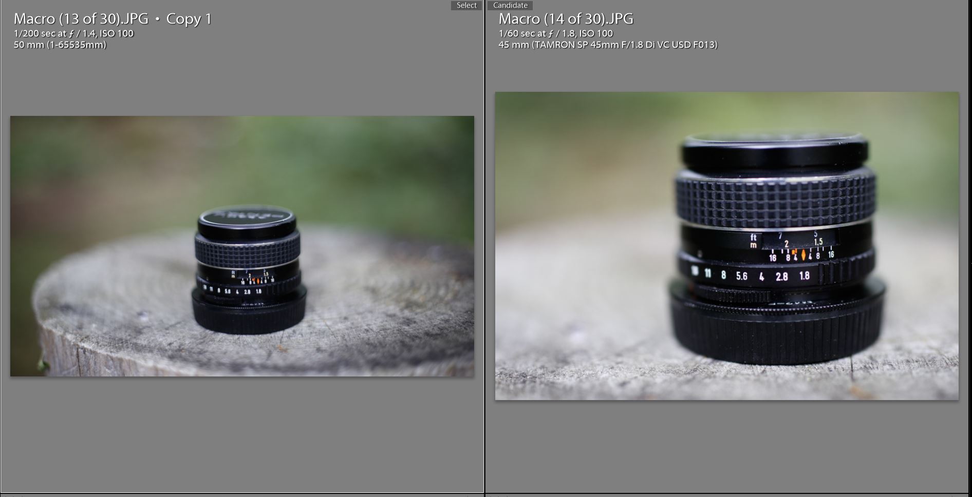 Tamron SP 45mm f/1.8 VC USD Review - DustinAbbott.net
