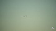 A067-Samples-56