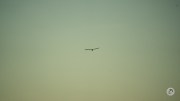 A067-Samples-57