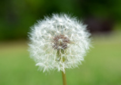 57-Macro-1 57-Macro-1