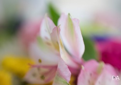 11-Macro-Mode-2