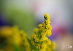 11-Macro-Mode-3