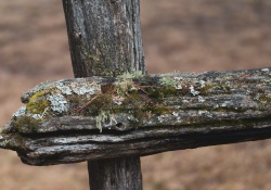 13-Motion-blur-2
