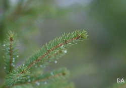46-100mm-Real-World