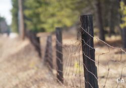 52-Bokeh-Samples-7