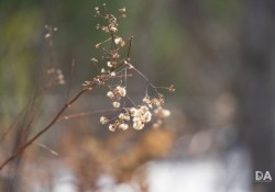 52-Bokeh-Samples-8