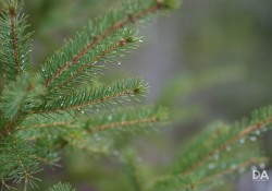 52-Bokeh-Samples