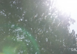53-Flare-2