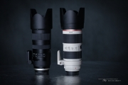 Tamron vs Canon