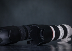 Tamron vs Canon-3