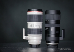 Tamron vs Canon-5
