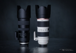 Tamron vs Canon