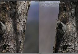 200mm Medium Distance A7r