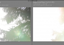 Flare and Ghosting