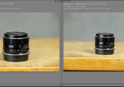 Maximum Magnification Tamron v Tamron