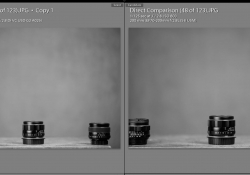 Vignette Comparison
