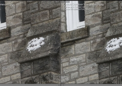 f5 135mm A7r Comparo Focus Area