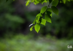 Beautiful Color-11