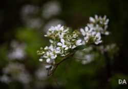 Beautiful Color-12