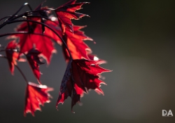 Beautiful Color-4