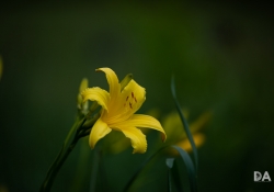 Beautiful Color-7