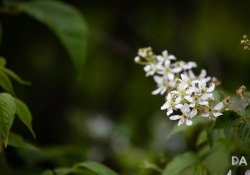 Beautiful Color-9