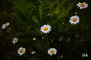 Hiking Shots-5