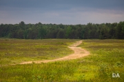 Hiking Shots-6