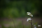 Hiking Shots-9