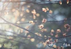 Spring has Sprung
