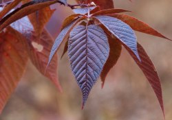 30-300mm-Real-World-2