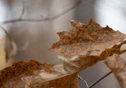 30-300mm-Real-World-3