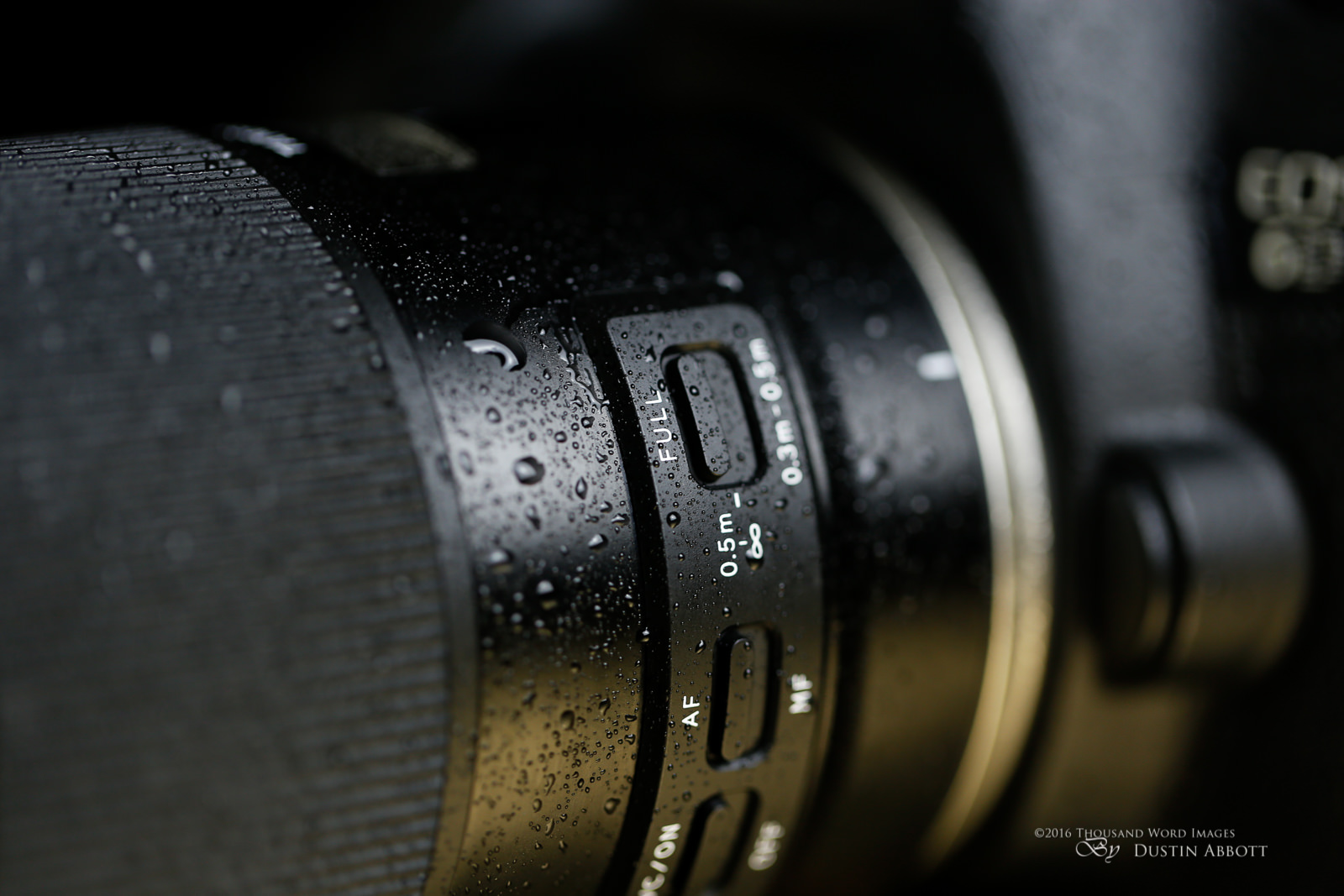 Tamron SP 90mm f/2.8 Di Macro 1:1 VC USD Review (F017